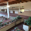 Отель The Garden Plaza Hotel and Conference Center, фото 28
