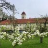 Отель Stift St. Georgen, фото 17