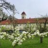 Отель Stift St. Georgen, фото 21