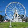 Отель Golden Gate Park Suite, фото 6