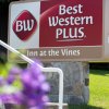 Отель Best Western Plus Inn At The Vines, фото 29
