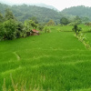 Отель De Salak Homestay Gunung Salak RedPartner, фото 4