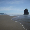Отель Grey Whale Inn, фото 5