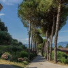 Отель Noble luxury Villa near Lucca-VILLA CONTORNI, фото 15