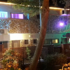 Отель Aloni - Guest house Dead Sea, фото 1