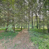 Отель New Listing! Authentic Escape Near Asheville 3 Bedroom Home, фото 14