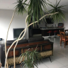 Отель Napoles Condo Suite, фото 20