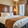 Отель Comfort Suites Near Texas State University, фото 3