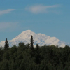 Отель Falcon's Nest Bed & Breakfast, фото 25