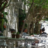 Отель Firuze Alaçatı Otel Meyhane, фото 46