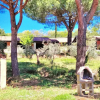 Отель Residence con piscina a Guardistallo, фото 18