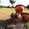 Отель MyStay - Refúgio da Natureza, фото 1