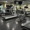 Отель Excellence Express & Suites, фото 17