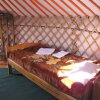 Отель Steppe Nomads Eco Resort at Gungaluut в Баяндэлгэр