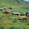 Отель Hilltop Apartment in Aschau im Zillertal Near Ski Area, фото 23