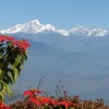 Отель Himalayan Horizon, фото 16