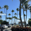 Отель Breezy Palms Resort, фото 23