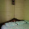 Отель Homestay Madani 007 - Nita, фото 1
