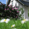 Отель B&B Det Gamle Savværk, фото 15