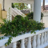 Отель Kivuliii Villa, фото 21