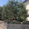 Отель Sea View Apartment Orhideja, Sleeps 4, фото 12