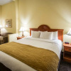 Отель COMFORT INN & SUITES, фото 8