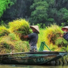 Отель Tam Coc Craft Homestay, фото 24