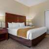 Отель Comfort Inn & Suites, фото 7