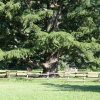 Отель Apartamento Rural Elizondo, фото 5