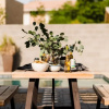 Отель Cobalt - Modern Getaway w Pool - Close To Old Town, фото 10