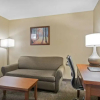 Отель Comfort Inn & Suites Langley, фото 12