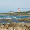 Отель Beachcombers Bed & Breakfast, фото 21