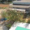 Отель Apartments Hriljac, фото 14