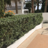 Отель Mediterranean dream, фото 19