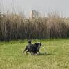 Отель petite maison dans la campagne a 10 mn a pied du centre ville, фото 8