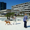 Отель Modern Apartment with Sea-view at Split, фото 6