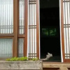 Отель Shinsiwa Hanok Guesthouse 2 (Green Way Park), фото 35