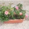 Отель Agriturismo La Rosa Montefalco, фото 5