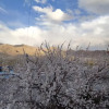 Отель Donskit Homestay, фото 5