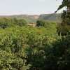 Отель V Resorts Ranthambore Vinayak, фото 19