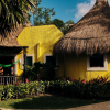 Отель Iberostar Waves Cozumel - All Inclusive, фото 36