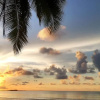 Отель Coconut Homes & Cafe, фото 22