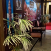 Отель Cairo Paradise Hotel, фото 16