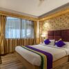 Отель Treebo Premium Tempo Heritage Spa & Resort, фото 3
