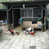 Отель 't Huis ten Boss, фото 15