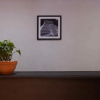 Отель Hostal Ixchel - Hostel, фото 4