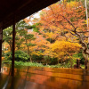Отель INTRO Tamagawa, фото 19