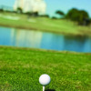 Отель WorldMark Reunion, фото 13