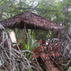 Отель The Mangrovecave Hotel, фото 11