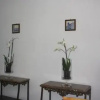 Отель Guest House Infante Dom Henrique, фото 14